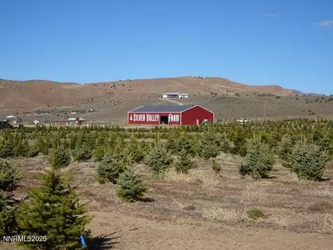 3995 Bacon Rind Rd, Reno, NV 89510