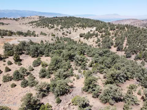 1170 Globe Rd, Reno, NV 89521 photo 29