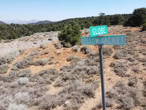 1170 Globe Rd, Reno, NV 89521 photo 4