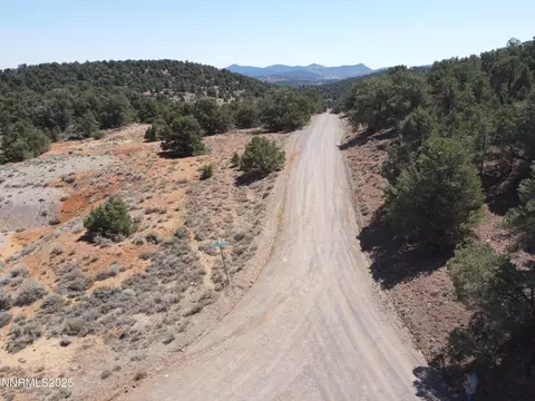 1170 Globe Rd, Reno, NV 89521 photo 7