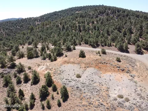 1170 Globe Rd, Reno, NV 89521 photo 31