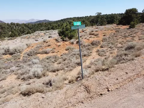 1170 Globe Rd, Reno, NV 89521 photo 3