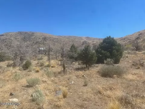 0 Pinon Pl, Coleville, CA 96107 photo 7
