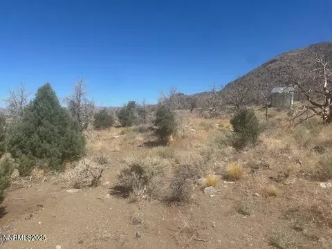 0 Pinon Pl, Coleville, CA 96107 photo 8