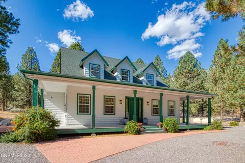 155 Old Mill Pl, Washoe Valley, NV 89704