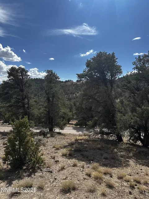 2000 Scorpion Rd, Reno, NV 89521