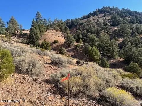 0 Buckeye Off Of Rd, Virginia City, NV 89440