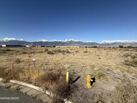 2588 Precision Dr, Minden, NV 89423 photo 9