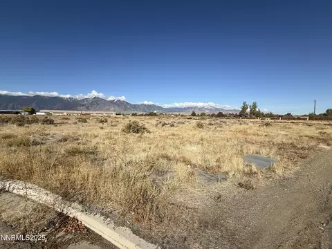 2588 Precision Dr, Minden, NV 89423 photo 10