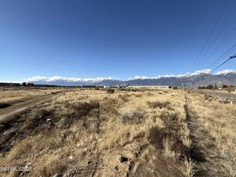 2588 Precision Dr, Minden, NV 89423 photo 4