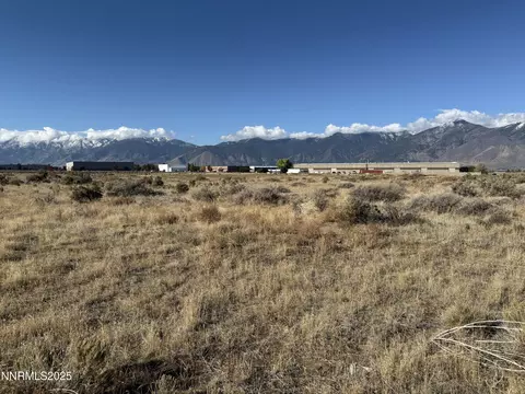 2588 Precision Dr, Minden, NV 89423 photo 3