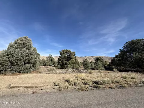 3660 Pinenut Way, Wellington, NV 89444
