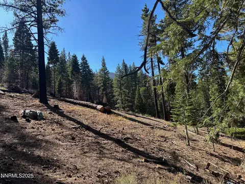 201 Shay Creek Rd, Markleeville, CA 96120 photo 12