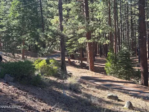 201 Shay Creek Rd, Markleeville, CA 96120 photo 34
