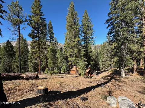 201 Shay Creek Rd, Markleeville, CA 96120 photo 33