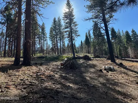 201 Shay Creek Rd, Markleeville, CA 96120 photo 11