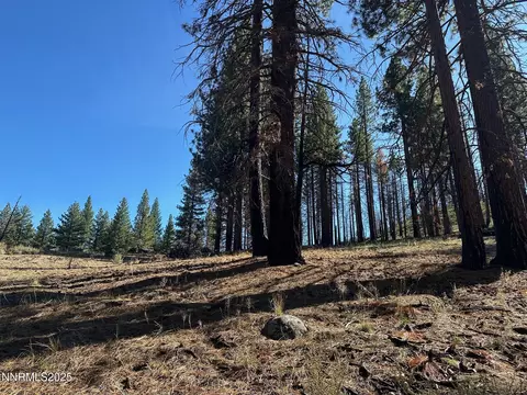 201 Shay Creek Rd, Markleeville, CA 96120 photo 29