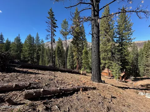 201 Shay Creek Rd, Markleeville, CA 96120 photo 32
