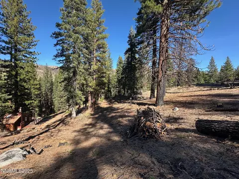 201 Shay Creek Rd, Markleeville, CA 96120 photo 31