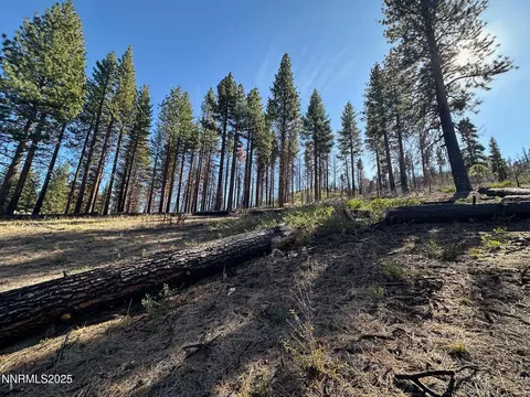 201 Shay Creek Rd, Markleeville, CA 96120 photo 28