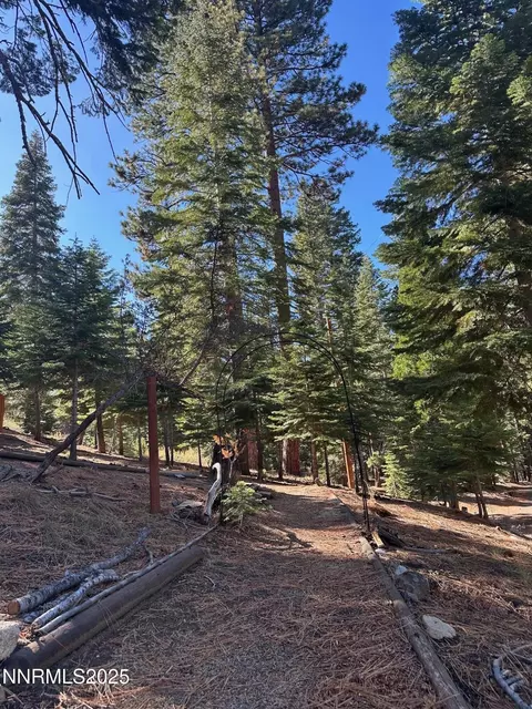 201 Shay Creek Rd, Markleeville, CA 96120 photo 9