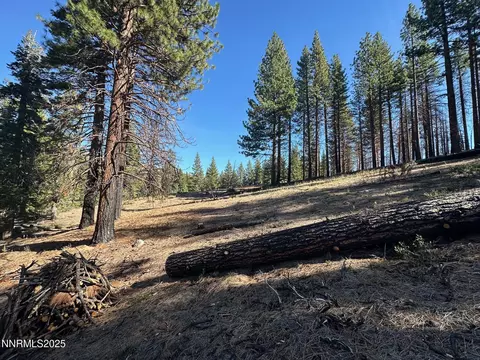 201 Shay Creek Rd, Markleeville, CA 96120 photo 30