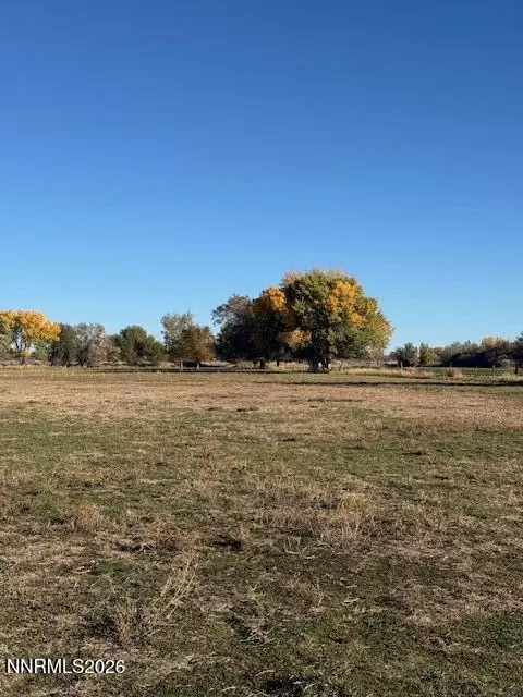 4050 Schindler Rd, Fallon, NV 89406