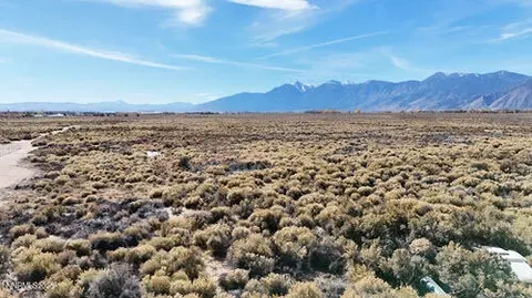 000 Johnson Ln, Minden, NV 89423