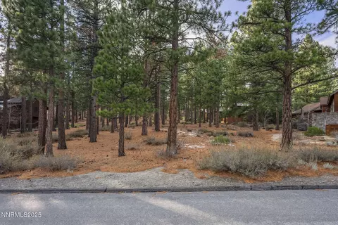 1385 Austrian Pine Rd, Reno, NV 89511