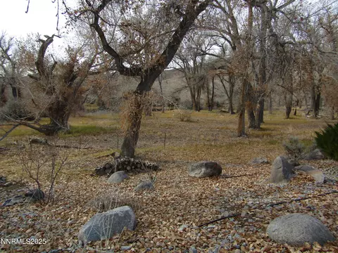 158 E Walker Rd, Yerington, NV 89447 photo 39