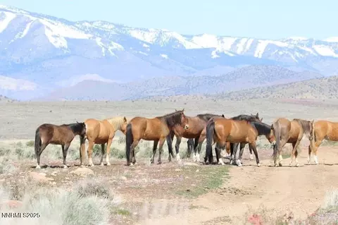 0 Pine Nut Mtn Range Lot #7, Minden, NV 89423 photo 4