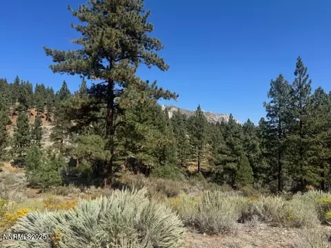 3521 Cutoff Trl #14, Carson City, NV 89705