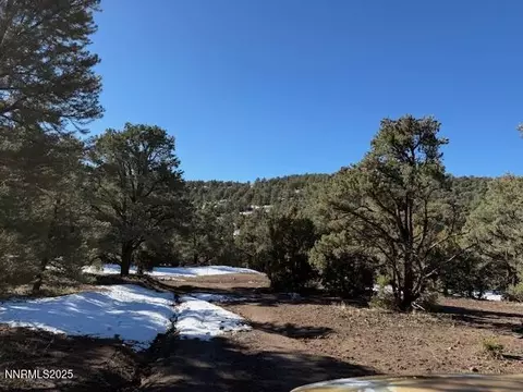 1410 Scorpion Rd, Reno, NV 89521