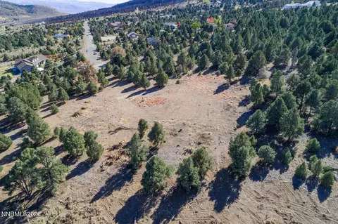 1518 Alba Vis, Gardnerville, NV 89410