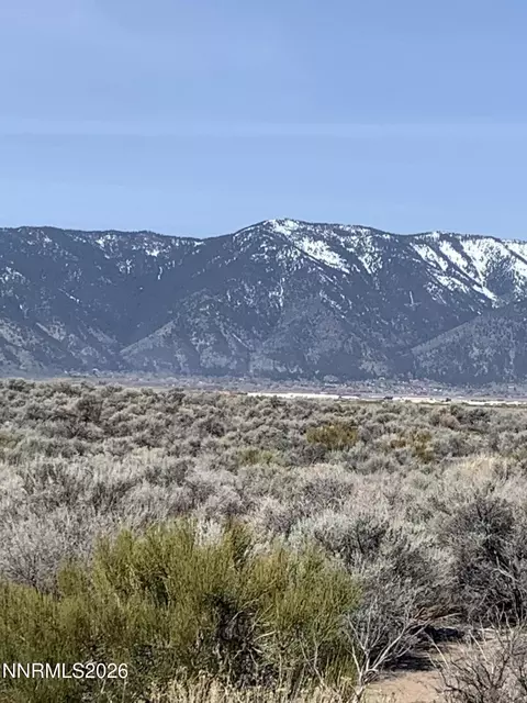 2042 E Valley Rd, Minden, NV 89423 photo 15