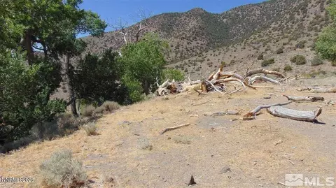 00429110 Sutro Springs Rd, Dayton, NV 89403