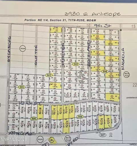 3930 E Antelope St, Silver Springs, NV 89429