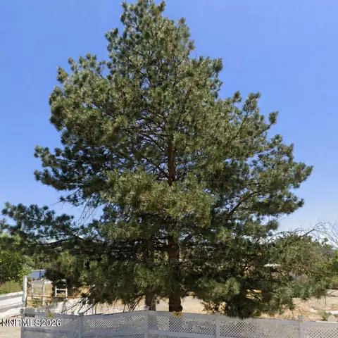 162 Huckleberry Way, Dayton, NV 89403