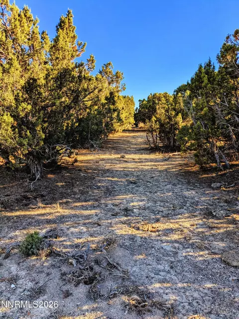 0 Twelvemile Cyn Rd, Montello, NV 89830