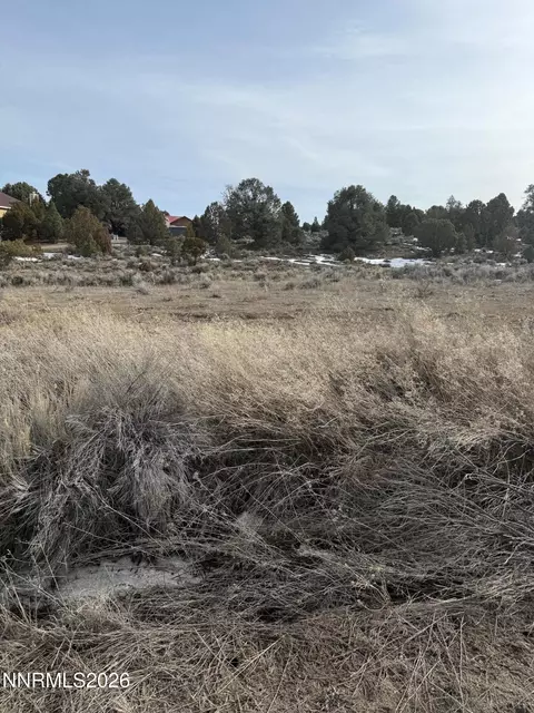 2421 Cartwright Rd, Reno, NV 89521
