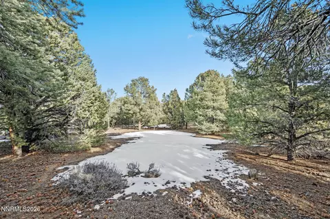 21740 Clemens Rd, Reno, NV 89521