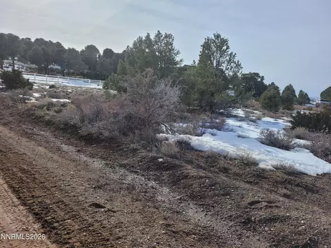 21310 Fey Rd, Reno, NV 89521