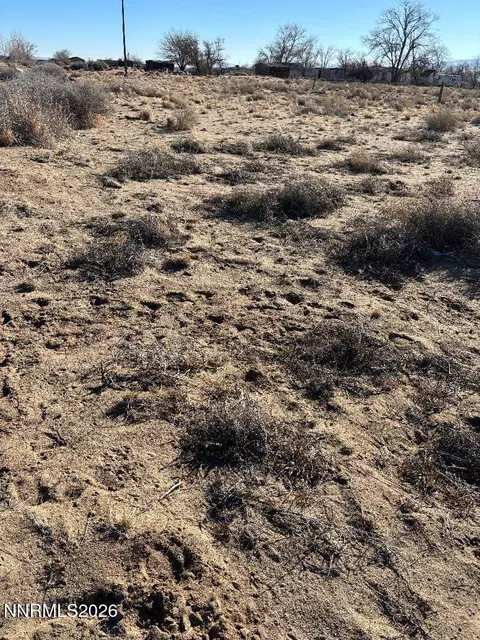 7670 Springfield Rd, Silver Springs, NV 89429