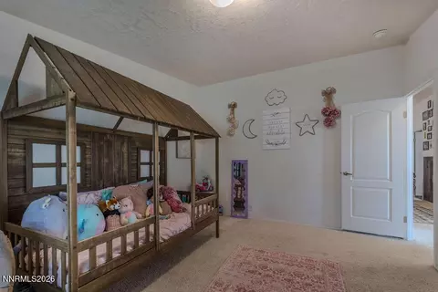 4595 Hackamore Ln, Stagecoach, NV 89429 photo 39