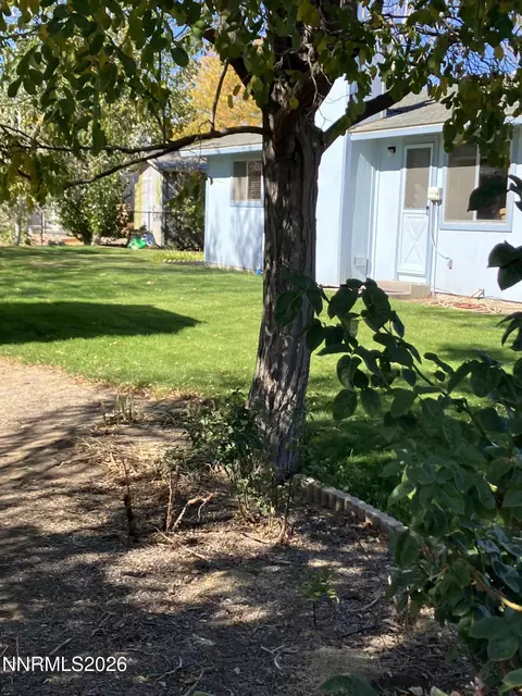 144 Ring Rd, Dayton, NV 89403 photo 41