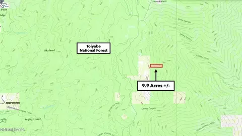 0 Genoa Peak Rd, Stateline, NV 89449 photo 10