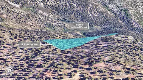 0 Genoa Peak Rd, Stateline, NV 89449 photo 44