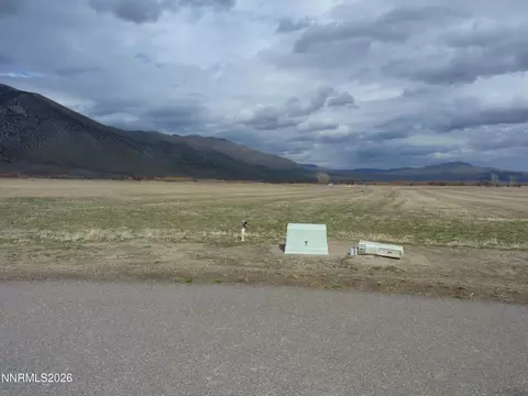 120 Oreana Peak Rd, Wellington, NV 89444