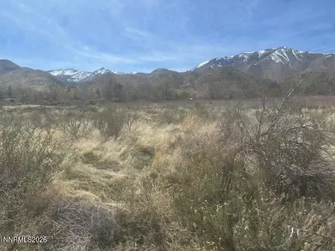 0 Meadow Dr, Coleville, CA 96107