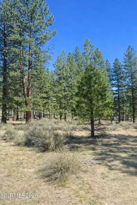 3568 Knob Pt Trl #102, Carson City, NV 89705